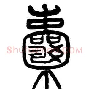囊