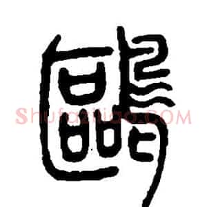 鸥