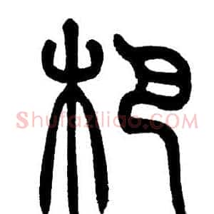 杷