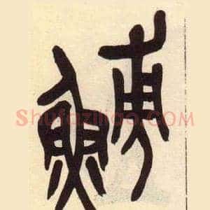 鰟