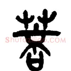 菩