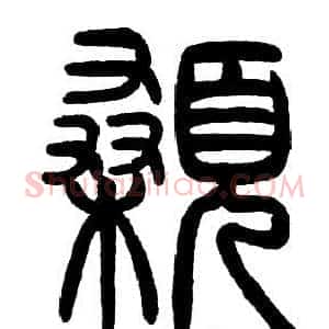 顙