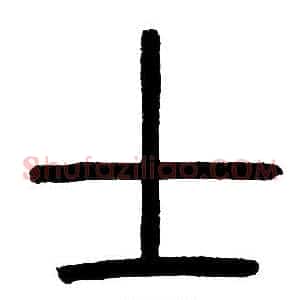 士