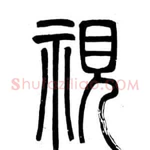 視