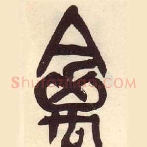 禽