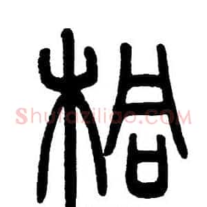 桐