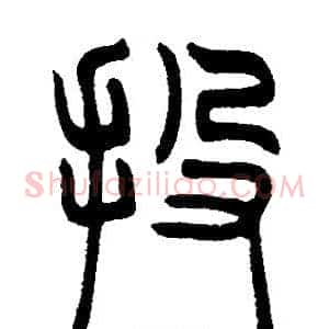 投