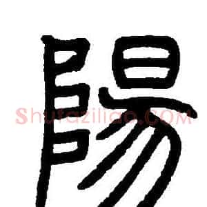 陽