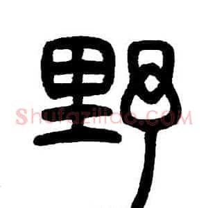 野