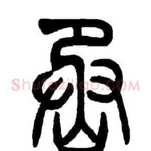 烝