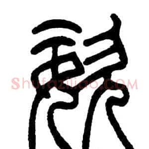 姿