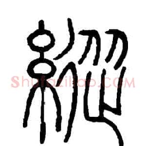 縱