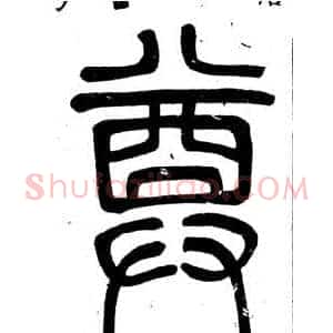 尊