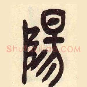 陽