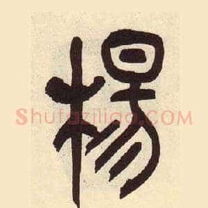 楊
