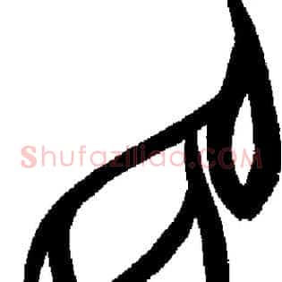 兔