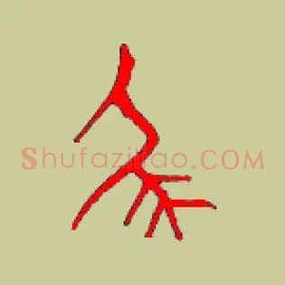 尾