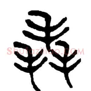 毳