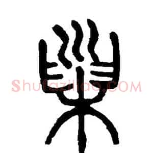 巢