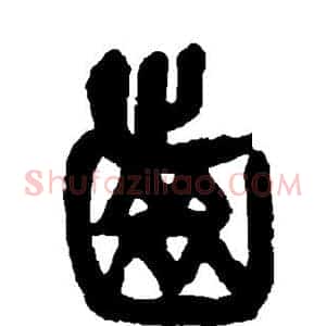 齿