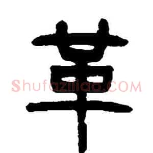 革