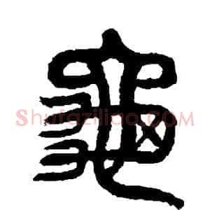 龜