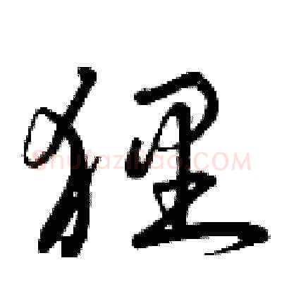 貍硬笔草书写法,摘自曾庆福硬笔书法字帖