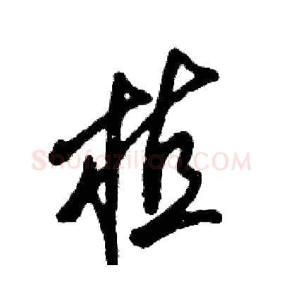 植硬笔草书写法,摘自张恒成硬笔书法字帖