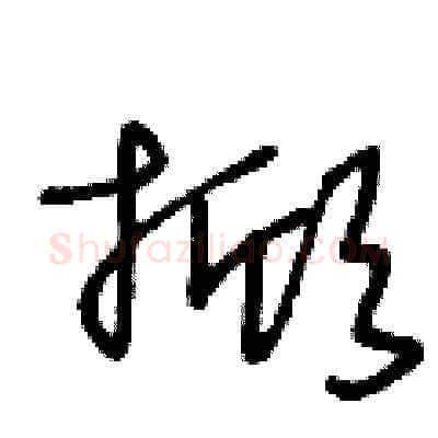掀硬笔草书写法,摘自王冬龄硬笔书法字帖
