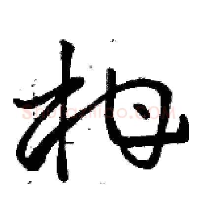 柑硬笔草书写法,摘自骆恒光硬笔书法字帖