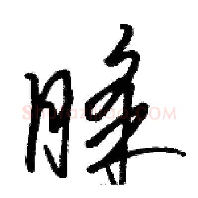 睬硬笔草书写法,摘自骆恒光硬笔书法字帖