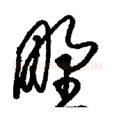 野硬笔草书写法,摘自骆恒光硬笔书法字帖