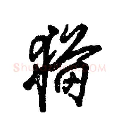 猫硬笔草书写法,摘自张恒成硬笔书法字帖