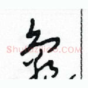 龜