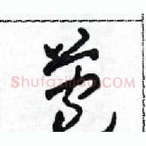 苞