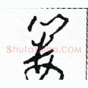 篓