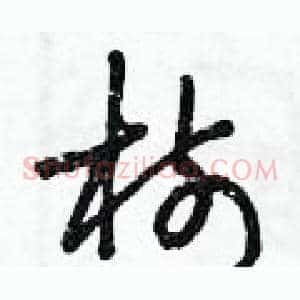 樹