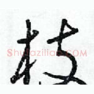 枝