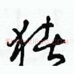 豬