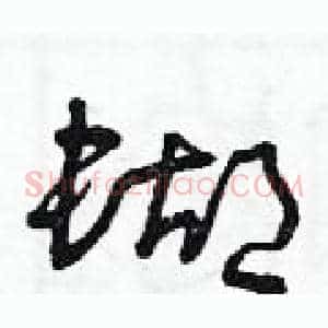蝴