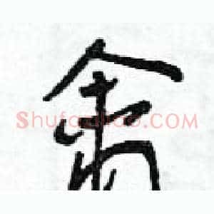 禽