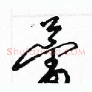蕾