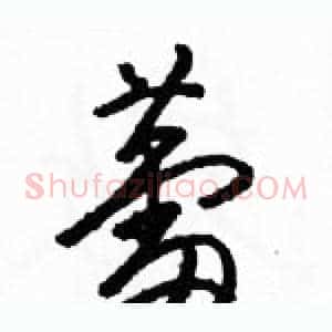蕾
