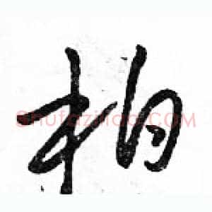 柏