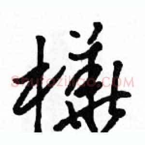 樺