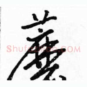 蘑