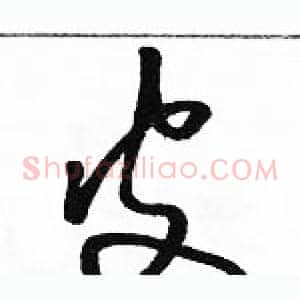 皮