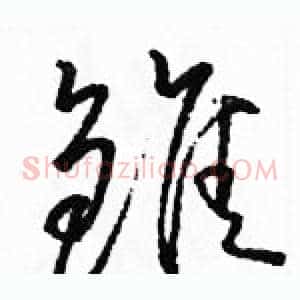 雏