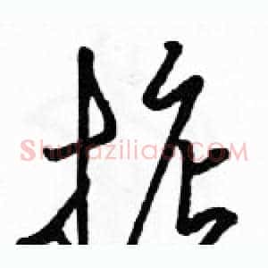 掂
