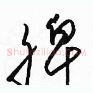 脾